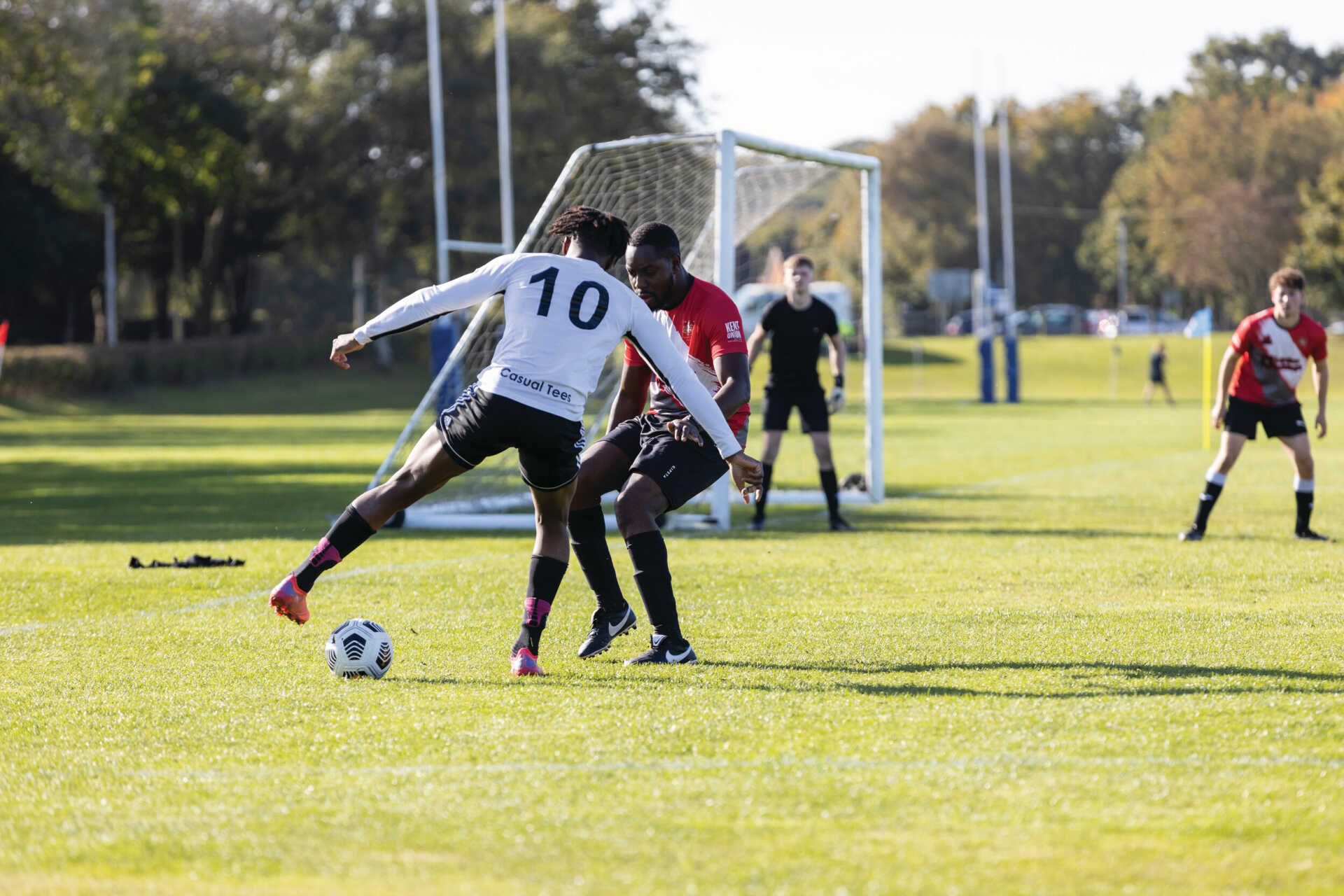 他的竞技状 他的竞技状